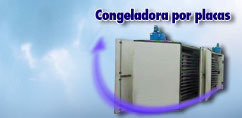 CONGELADORA POR PLACAS
